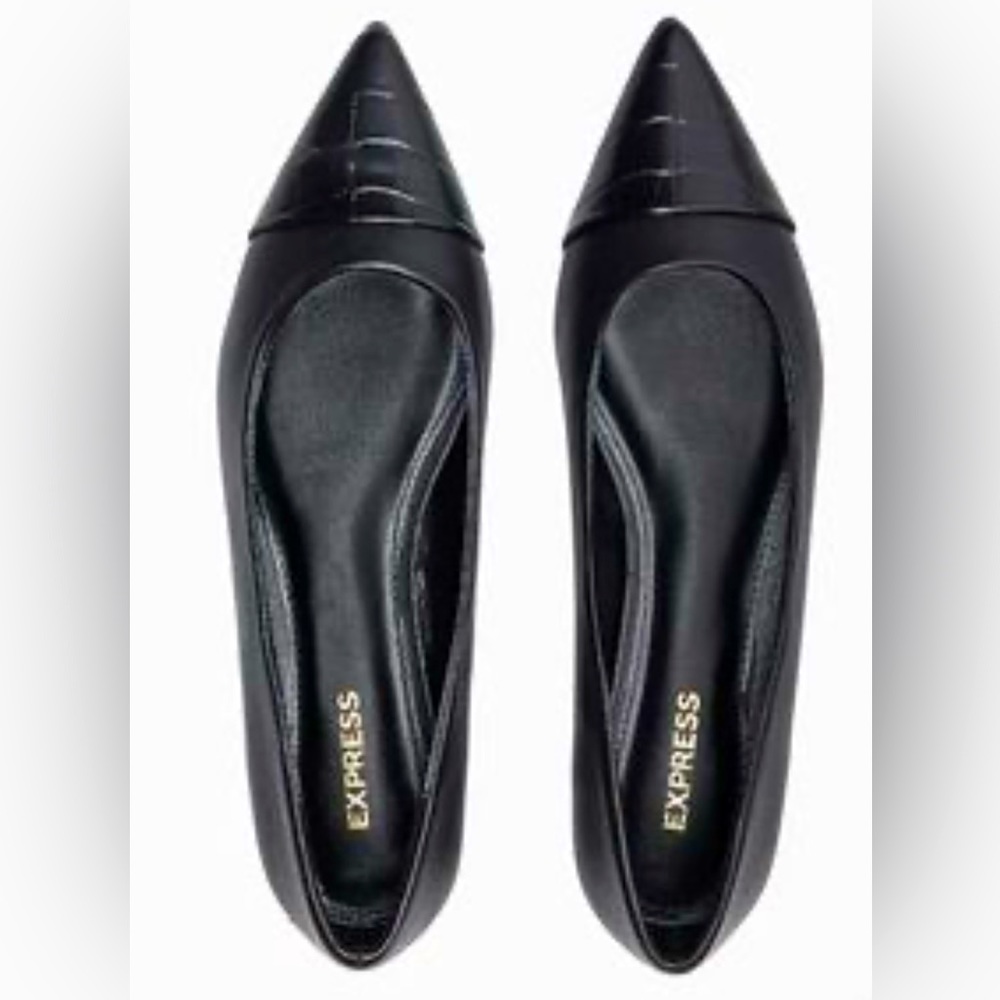 Pointed Toe Flats - Black Croc NWOT